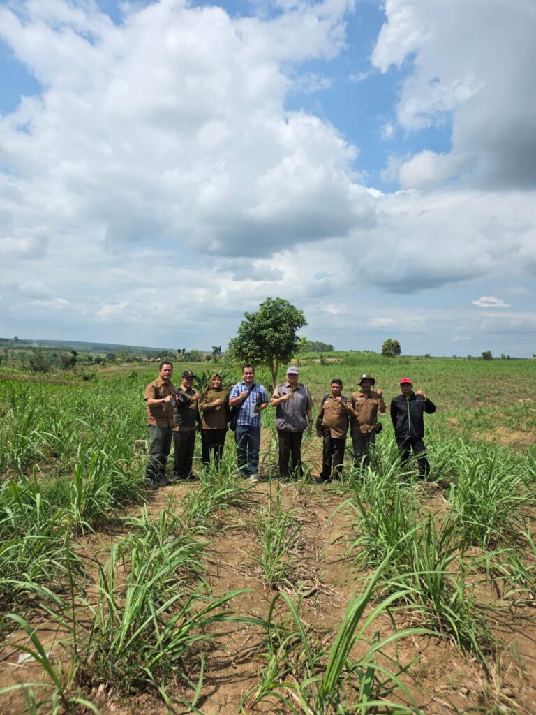 WhatsApp Image 2025-07-29 at 14.26.48