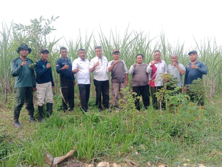 WhatsApp-Image-2025-12-01-at-14.54.02