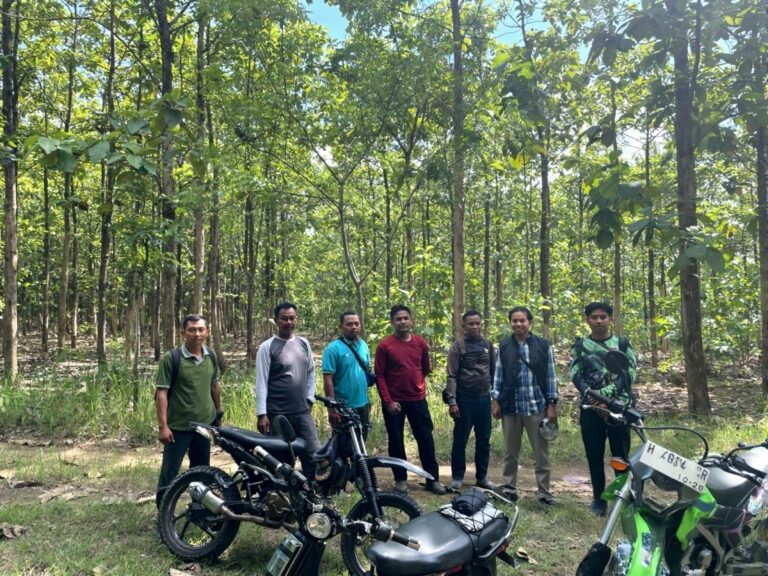 b7b8241a-343d-46e1-a4b1-a9b8e8508490