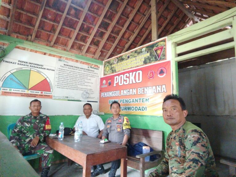 wmremove-transformed17