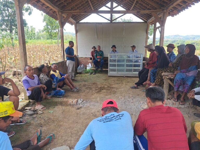 wmremove-transformed31